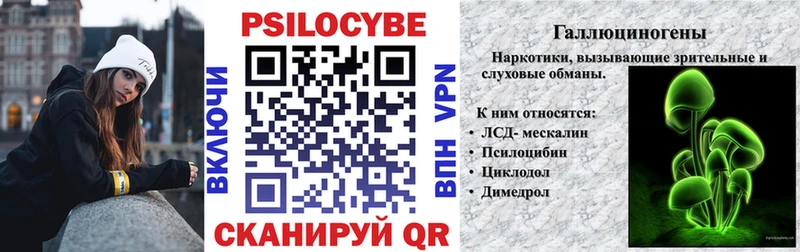 Псилоцибиновые грибы Cubensis  Купить закладки  Валдай 